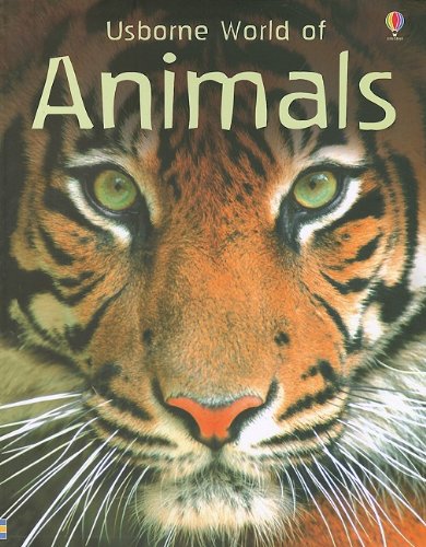 Usborne World of Animals,Used