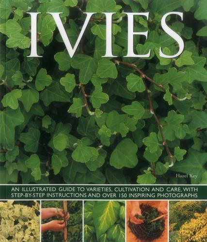 Ivies: An illustrated guide to varieties, cultivation and care, with stepbystep instructions and over 150 inspiring photograph,Used