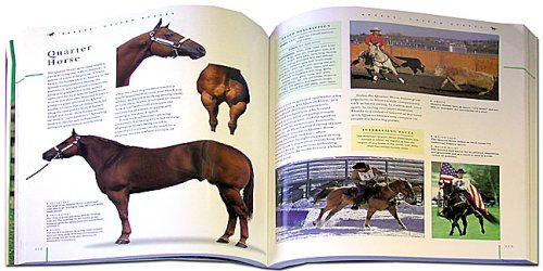 The Ultimate Encyclopedia of Horse Breeds and Horse Care,Used