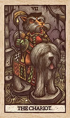 Labyrinth Tarot Deck and Guidebook  Movie Tarot Deck,New