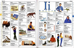 Children's Illustrated Dictionary,Used