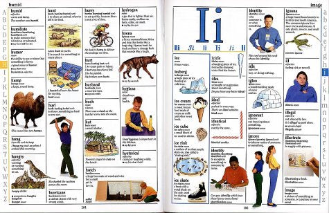 Children's Illustrated Dictionary,Used
