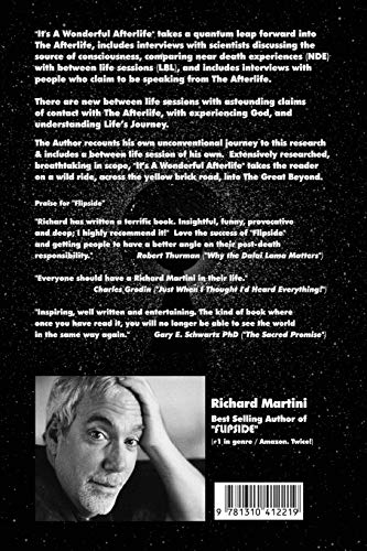 Flipside: A Tourist's Guide on How to Navigate the Afterlife,Used