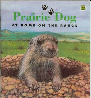 Little Jackrabbit: At home in the desert,Used