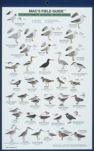 Mac's Field Guides: Northwest Coast Water Birds,Used