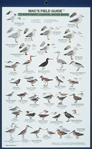 Mac's Field Guides: Northwest Coast Water Birds,Used
