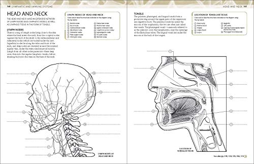 The Human Body Coloring Book: The Ultimate Anatomy Study Guide (Dk Human Body Guides),New