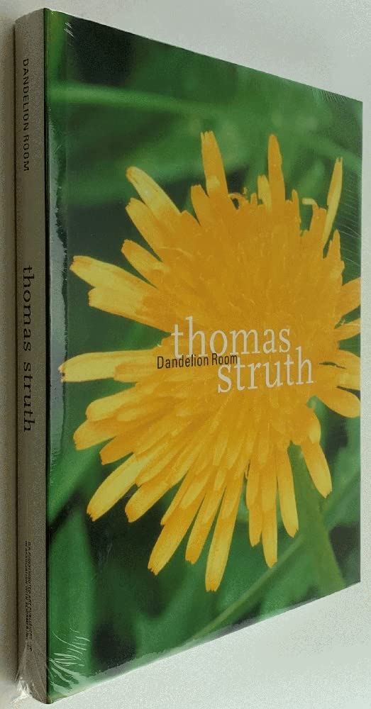 Thomas Struth: The Dandelion Room,Used