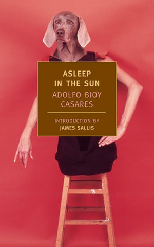 Asleep in the Sun (New York Review Books Classics),Used
