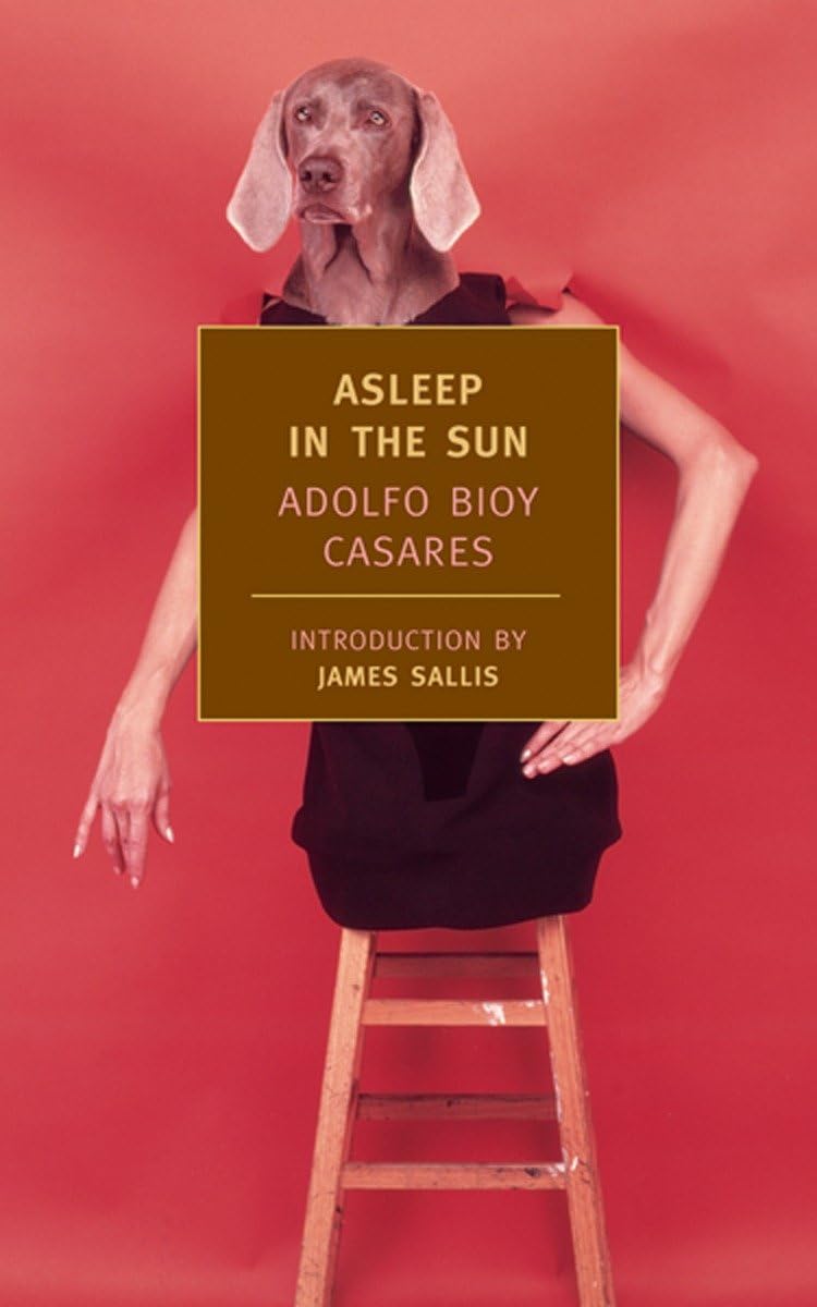 Asleep in the Sun (New York Review Books Classics),Used