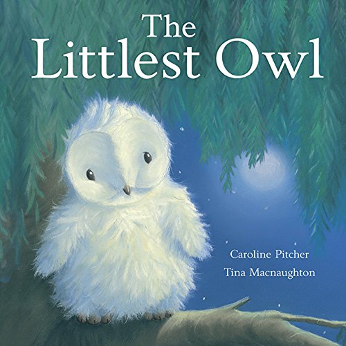 Littlest Owl,Used