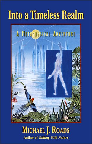 Into a Timeless Realm: A Metaphysical Adventure,Used