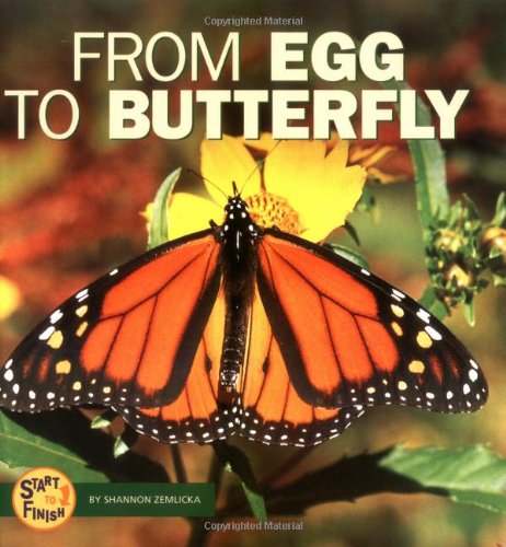 From Egg to Butterfly (Start to Finish),Used