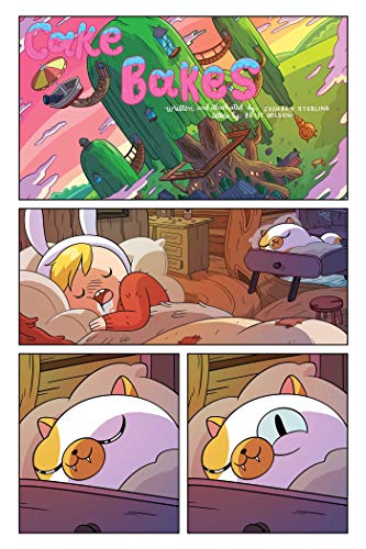 Adventure Time: Fionna and Cake