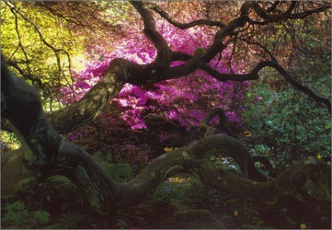 A Gardener's Labyrinth: Portraits of People, Plants and Places,Used