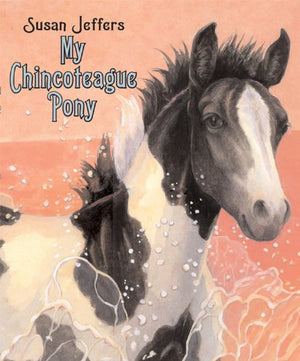 My Chincoteague Pony,Used