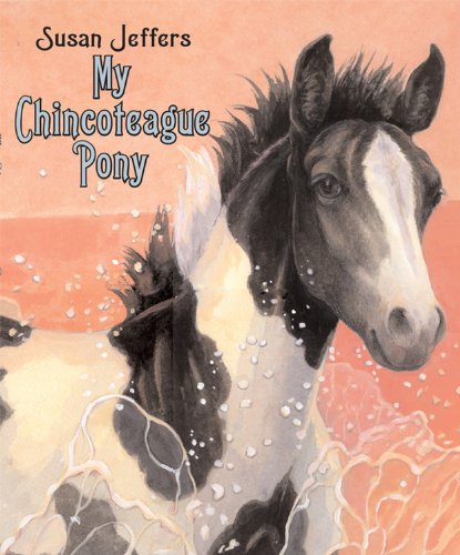 My Chincoteague Pony,Used
