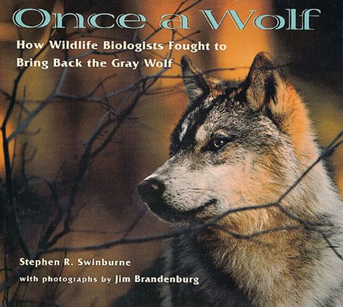 Once A Wolf: How Wildlife Biologists Fought To Bring Back The Gray Wolf: How Wildlife Biologists Fought to Bring Back the Gray W,Used