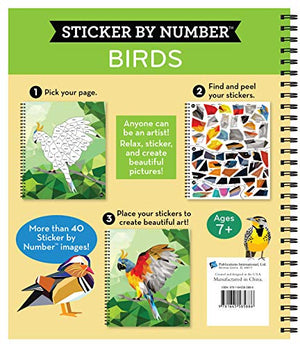 Brain Games  Sticker by Number: Birds (42 Images to Sticker),Used