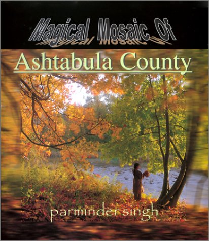 Magical Mosaic Of Ashtabula County,Used