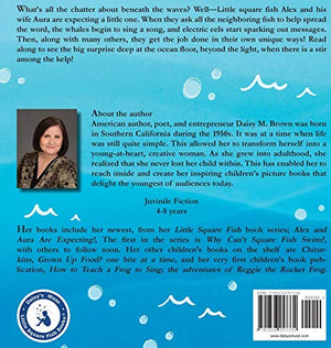Little Square Fish Aqua & Aura Are Expecting!: Aqua & Aura Are Expecting! (Little Square Fish Books),Used