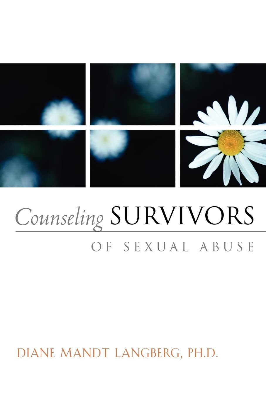 Counseling Survivors Of Sexual Abuse (Aacc Counseling Library)