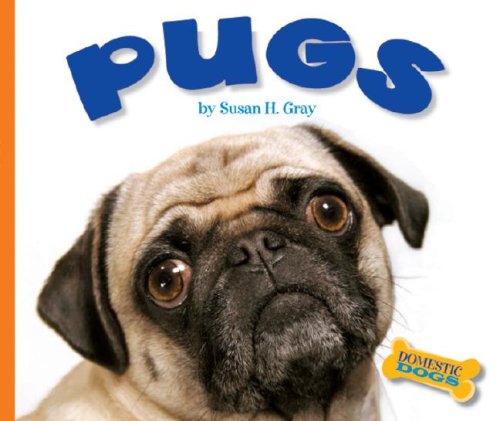Pugs (Domestic Dogs),Used