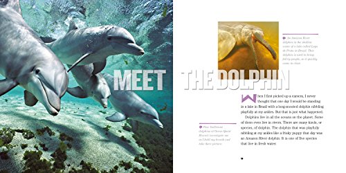 Face to Face with Dolphins (Face to Face with Animals),Used