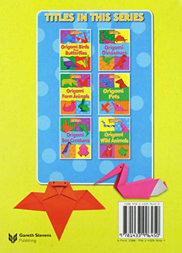 Origami Birds and Butterflies (Amazing Origami),Used