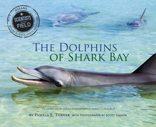 The Dolphins of Shark Bay (Scientists in the Field),Used