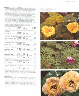 Dream Plants For The Natural Garden