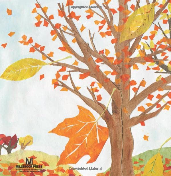 Summer Green to Autumn Gold: Uncovering Leaves' Hidden Colors,Used
