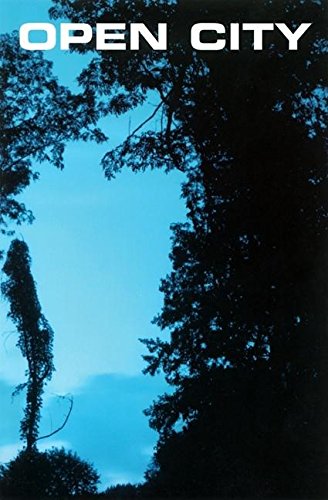 Open City #12: Equivocal Landscape,Used