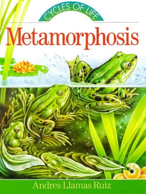 Metamorphosis (Cycles of Life Series),Used