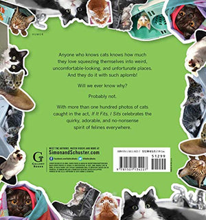 If It Fits, I Sits: Cats in Awkward Places,Used