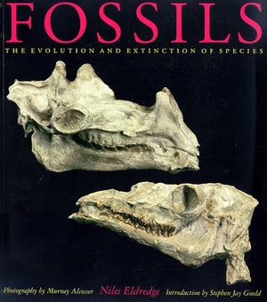 Fossils,Used