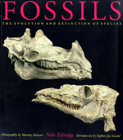 Fossils,Used