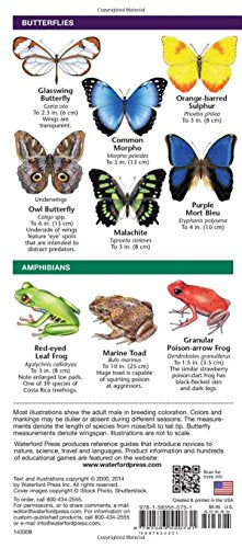 Costa Rica Wildlife: A Folding Pocket Guide to Familiar Species (A Pocket Naturalist Guide),Used