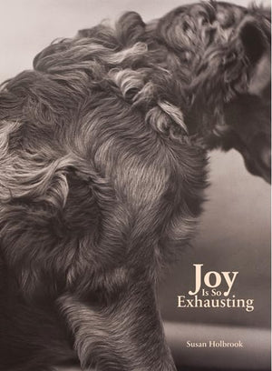 Joy Is So Exhausting,Used