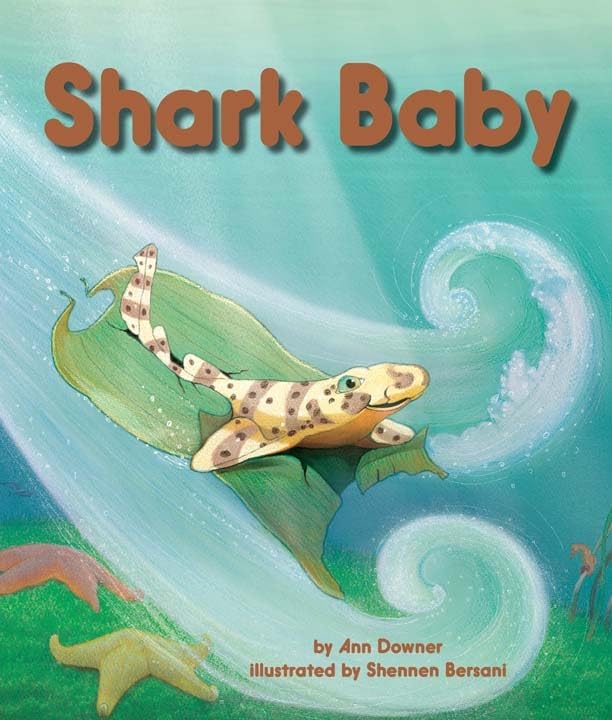 Shark Baby (Arbordale Collection),Used