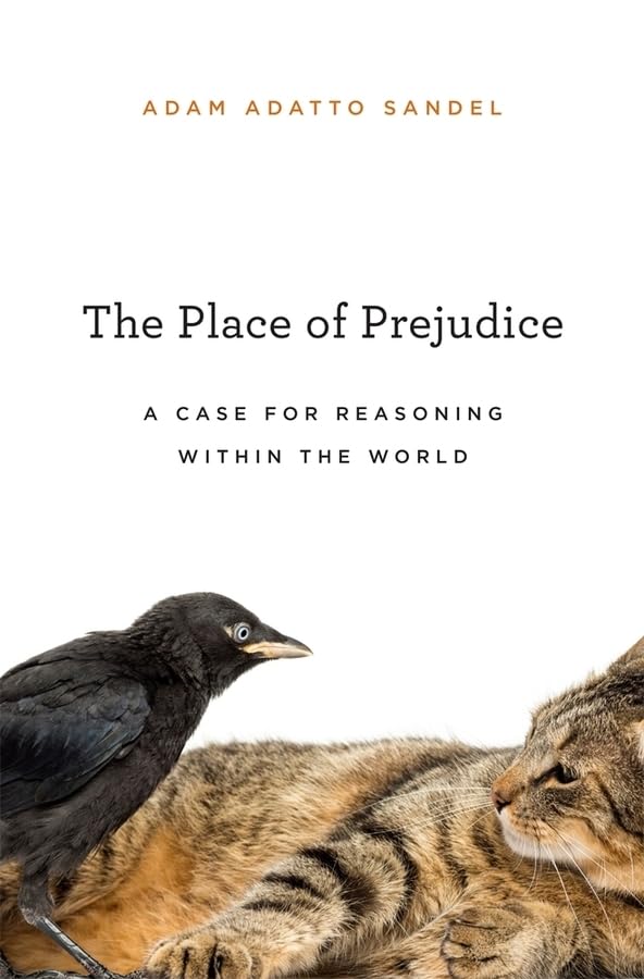The Place Of Prejudice: A Case For Reasoning Within The World,Used