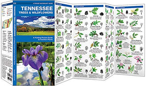 Tennessee Trees & Wildflowers: A Folding Pocket Guide to Familiar Plants (Wildlife and Nature Identification),Used