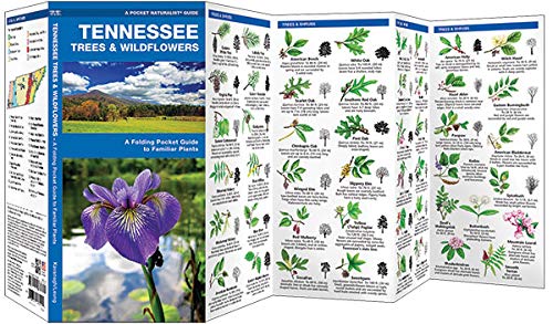 Tennessee Trees & Wildflowers: A Folding Pocket Guide to Familiar Plants (Wildlife and Nature Identification),Used