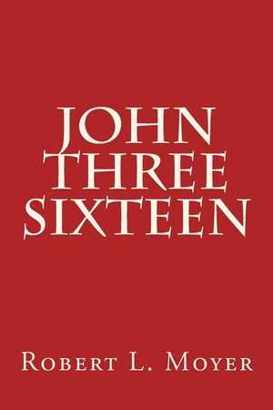 John Three Sixteen,Used