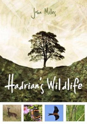 Hadrian'S Wildlife,Used