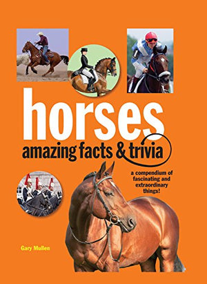 Horses: Amazing Facts And Trivia