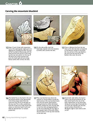 Carving AwardWinning Songbirds: An Encyclopedia of Carving, Sculpting and Painting Techniques (Fox Chapel Publishing) Comprehen,Used
