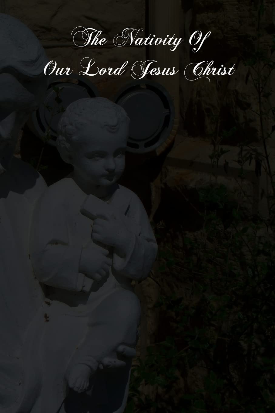 The Nativity Of Our Lord Jesus Christ: From The Meditations Of Anne Catherine Emmerich,Used