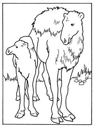 Little Zoo Animals Coloring Book (Dover Little Activity Books: Animals),Used