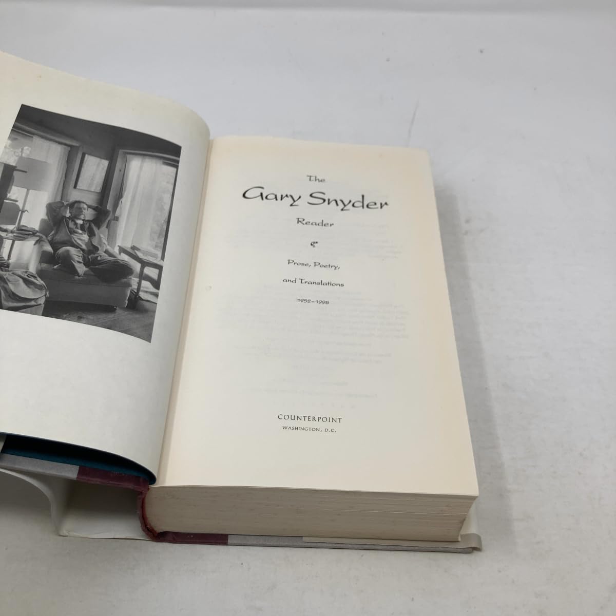 The Gary Snyder Reader: Prose, Poetry And Translations 19521998